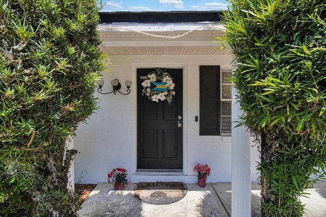 1216 Floral Way, Apopka, FL 32703 - photo 4