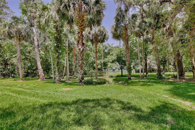 183 Parsons Rd, Longwood, FL 32779 - view of green lawn