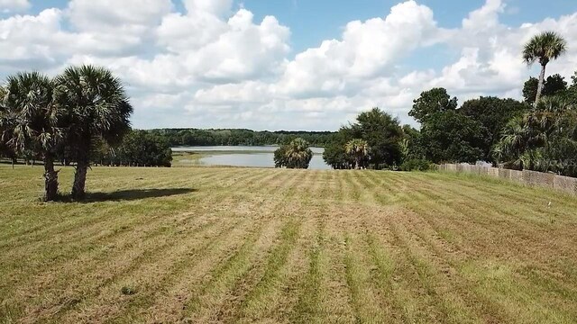 17400 Cooley Rd, Umatilla, FL 32784 - photo 1