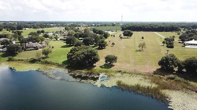17400 Cooley Rd, Umatilla, FL 32784 - photo 7