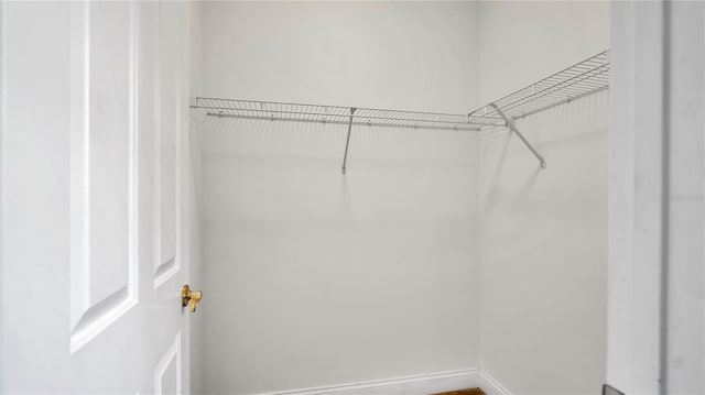 5016 W Lancaster St Unit 00, Tampa, FL 33616 - view of spacious closet