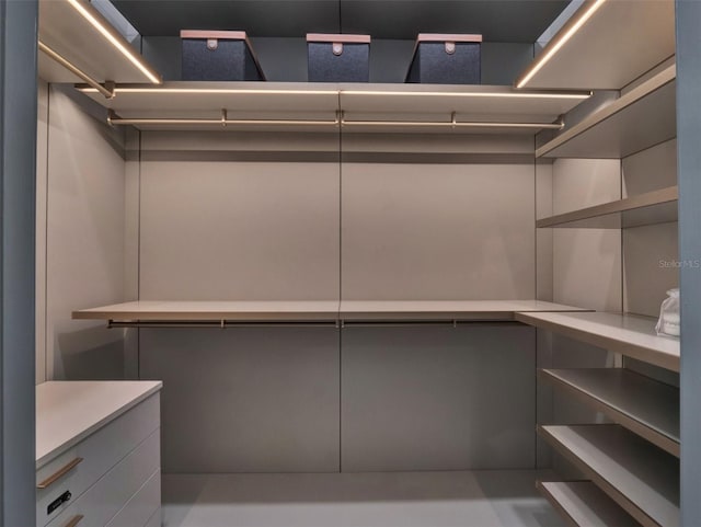 7615 SE 12th Cir, Ocala, FL 34480 - view of spacious closet