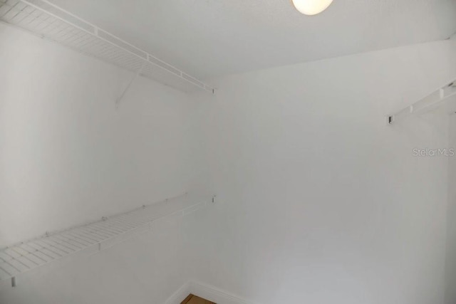 2040 Royal Bay Blvd Unit 31, Kissimmee, FL 34746 - view of spacious closet