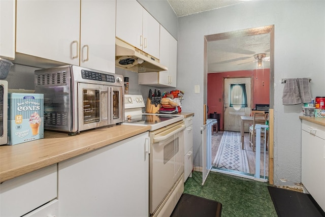 11509 Cameron St, Orlando, FL 32817 - kitchen with white electric range oven, under cabinet range hood, a textured ceiling, white cabinets, and light countertops