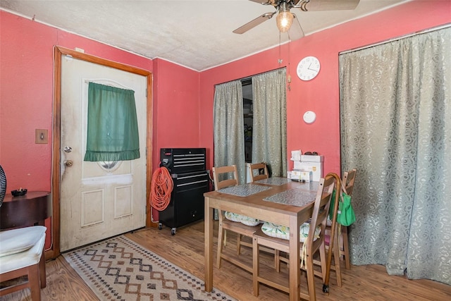 11509 Cameron St, Orlando, FL 32817 - dining space featuring wood finished floors and ceiling fan
