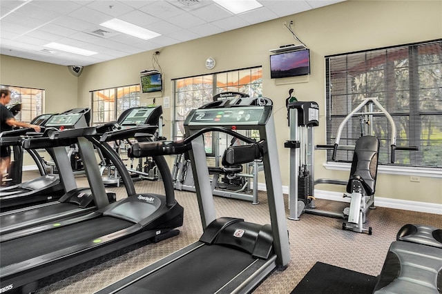 27143 Nostalgia Dr, Leesburg, FL 34748 - workout area featuring baseboards, a drop ceiling, and carpet floors