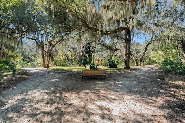 27143 Nostalgia Dr, Leesburg, FL 34748 - view of surrounding community