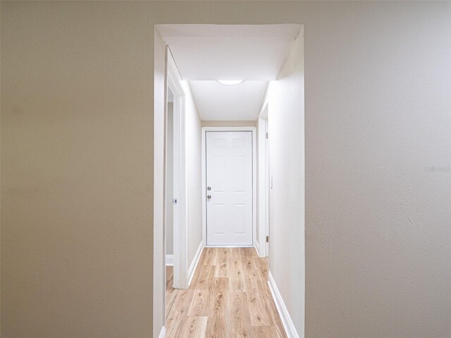 1229 Deneece Ter, Daytona Beach, FL 32117 - hall with light wood-type flooring and baseboards