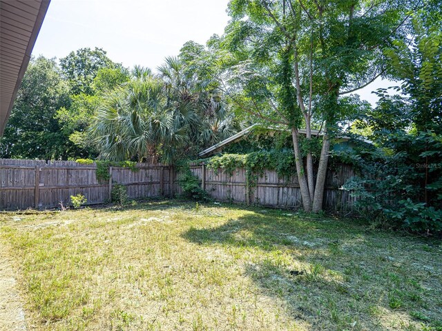 1229 Deneece Ter, Daytona Beach, FL 32117 - view of yard