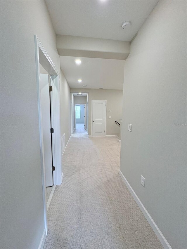 18875 Noble Caspian Dr, Lutz, FL 33558 - photo 12