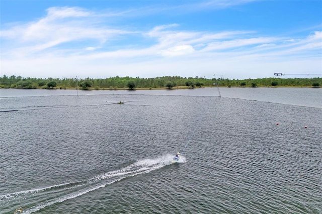 8518 Nemours Pkwy, Orlando, FL 32827 - water view