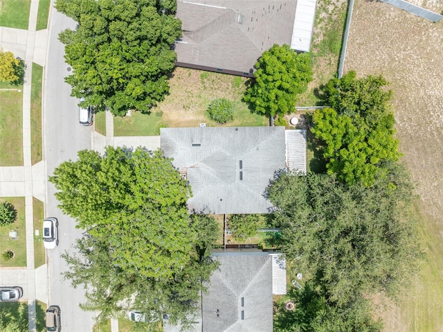 1181 Welch Hill Cir, Apopka, FL 32712 - bird's eye view