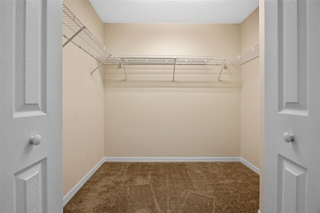 12824 Cloverdale Ln, Clermont, FL 34711 - walk in closet featuring carpet floors