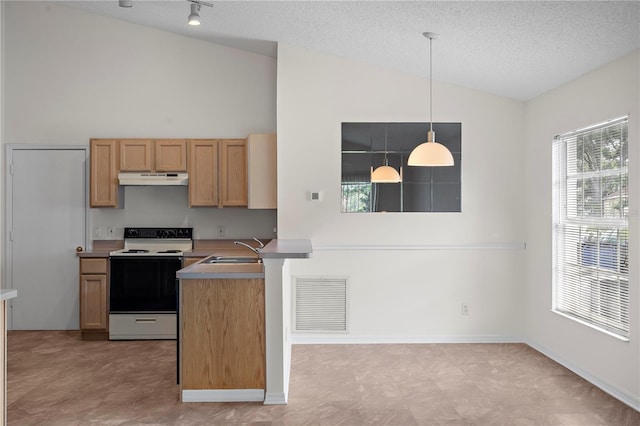 9145 Fort Jefferson Blvd, Orlando, FL 32822 - kitchen with electric range, under cabinet range hood, a textured ceiling, hanging light fixtures, and a sink