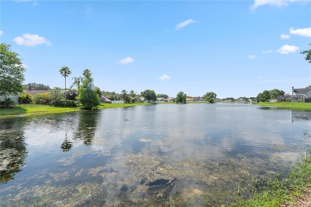 9145 Fort Jefferson Blvd, Orlando, FL 32822 - water view