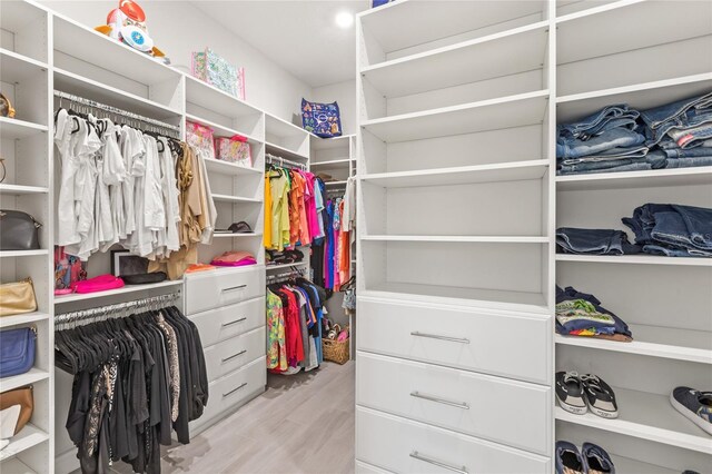 15049 Canopy Cover Dr, Winter Garden, FL 34787 - spacious closet with light wood-type flooring