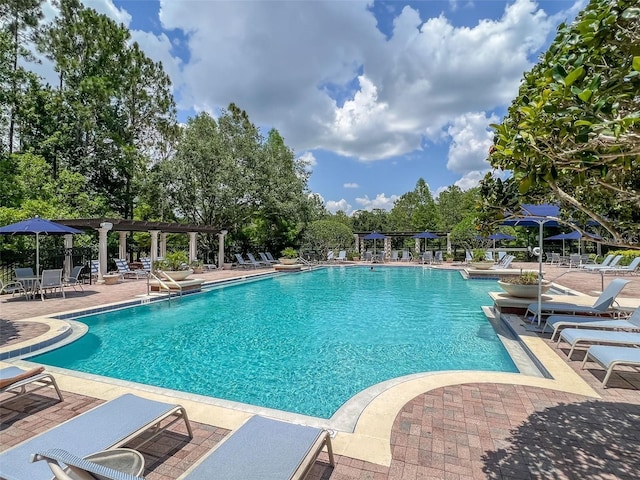 14835 Old Thicket Trce, Winter Garden, FL 34787 - photo 50
