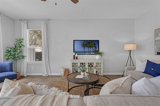 14835 Old Thicket Trce, Winter Garden, FL 34787 - photo 10