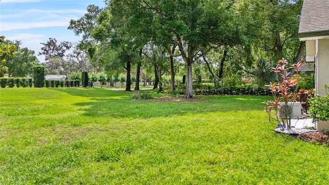4905 Emilee Grace Ln, Saint Cloud, FL 34771 - view of grassy yard with view of scattered trees