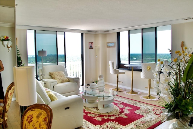 400 E Colonial Dr Unit 1609, Orlando, FL 32803 - living room with baseboards and expansive windows