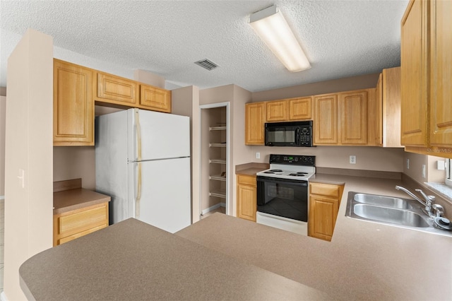 476 Basking Ridge Ct, Ocoee, FL 34761 - kitchen with black microwave, electric range, freestanding refrigerator, a sink, and a textured ceiling