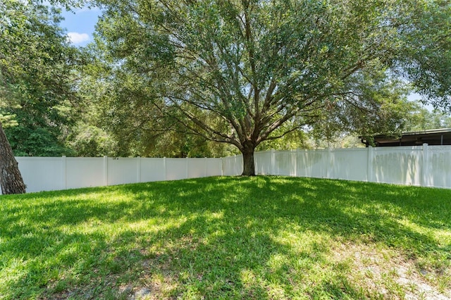 476 Basking Ridge Ct, Ocoee, FL 34761 - view of yard
