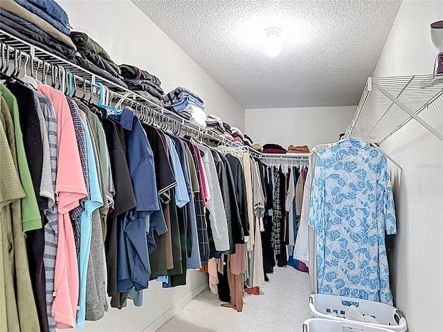 18109 Kara Ct, Tampa, FL 33647 - spacious closet with carpet