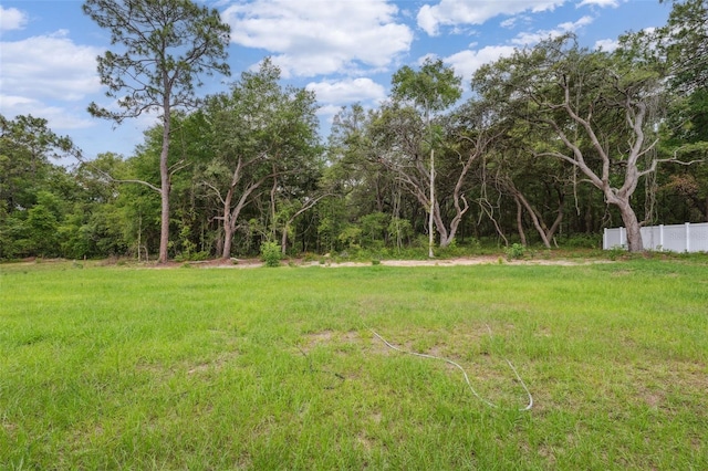 10218 N Langdon Rd, Citrus Springs, FL 34434 - view of yard