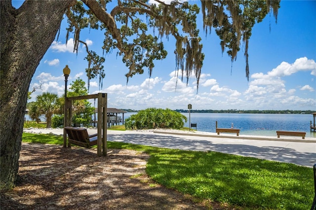 2009 Woody Dr, Windermere, FL 34786 - view of home's community with a water view and a boat dock