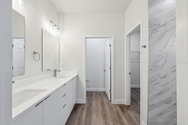 2565 W Laredo Dr, Citrus Springs, FL 34433 - bathroom with double vanity, wood finished floors, baseboards, a spacious closet, and a textured ceiling