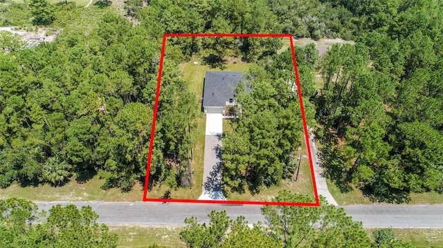 30369 Apricot Ave, Eustis, FL 32736 - photo 36
