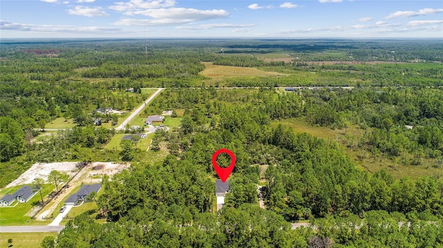 30369 Apricot Ave, Eustis, FL 32736 - photo 37