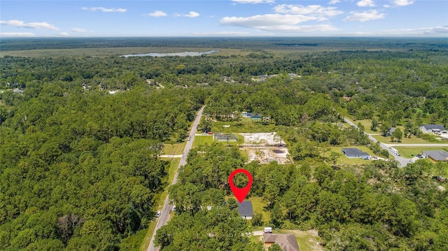 30369 Apricot Ave, Eustis, FL 32736 - photo 38