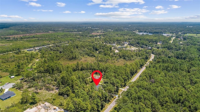 30369 Apricot Ave, Eustis, FL 32736 - photo 42