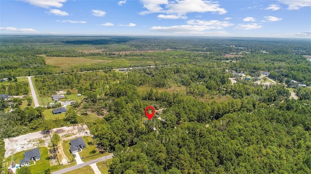 30369 Apricot Ave, Eustis, FL 32736 - photo 43