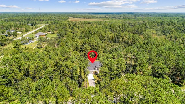 30369 Apricot Ave, Eustis, FL 32736 - photo 44