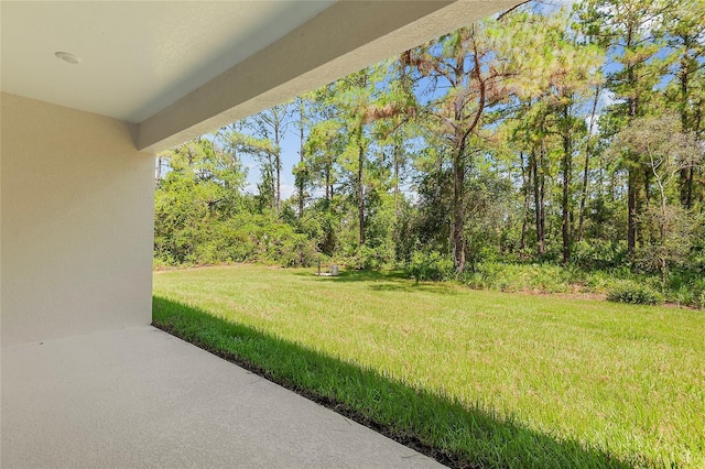 30369 Apricot Ave, Eustis, FL 32736 - photo 48