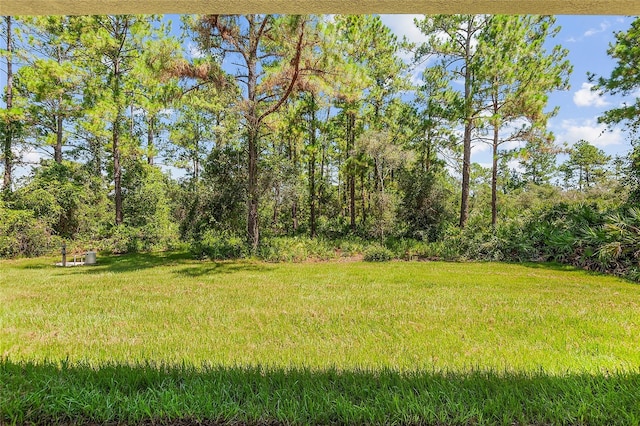30369 Apricot Ave, Eustis, FL 32736 - photo 49
