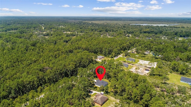 30369 Apricot Ave, Eustis, FL 32736 - photo 39