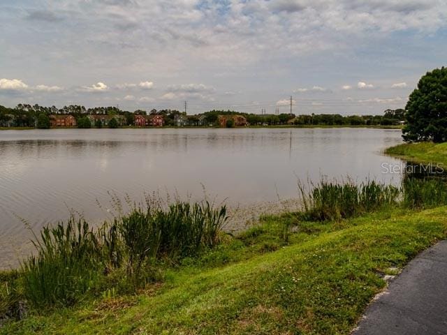 9584 Lake Chase Island Way Unit 958, Tampa, FL 33626 - water view