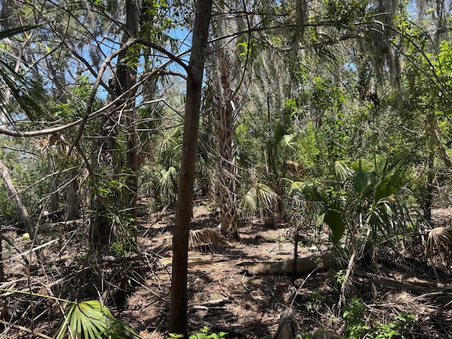 6350 S Lanceleaf Ter, Homosassa, FL 34448
