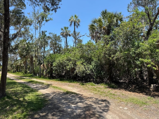 6350 S Lanceleaf Ter, Homosassa, FL 34448