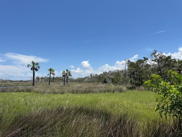 6350 S Lanceleaf Ter, Homosassa, FL 34448