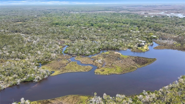 6350 S Lanceleaf Ter, Homosassa, FL 34448