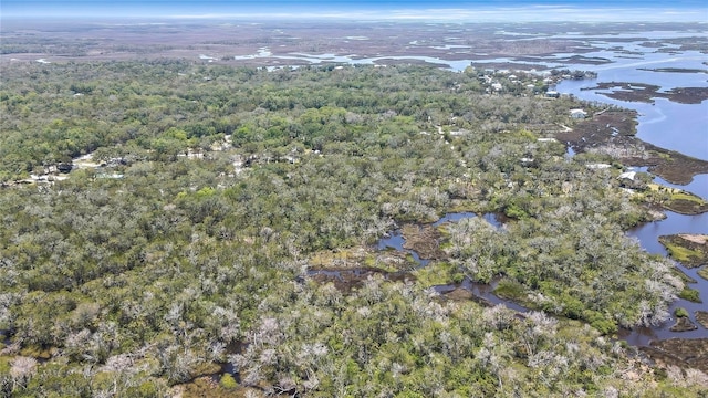 6350 S Lanceleaf Ter, Homosassa, FL 34448
