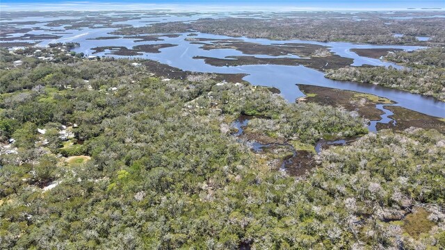 6350 S Lanceleaf Ter, Homosassa, FL 34448