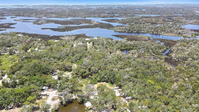 6350 S Lanceleaf Ter, Homosassa, FL 34448