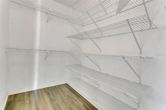 485 Whittingham Pl, Lake Mary, FL 32746 - spacious closet featuring wood finished floors