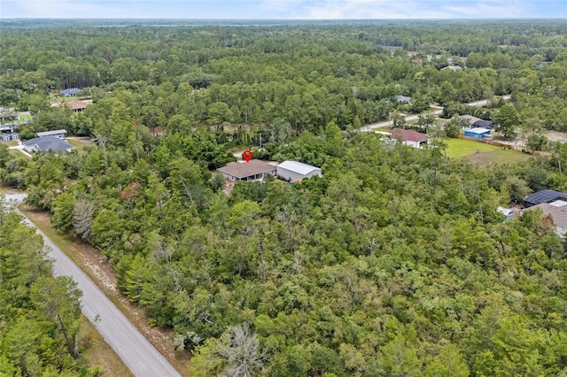 41128 Apple St, Eustis, FL 32736 - aerial view of property's location with a forest