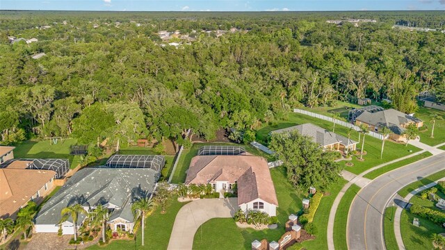 6121 Oxbow Bend Ln, Port Orange, FL 32128 - aerial overview of property's location featuring a forest and nearby suburban area